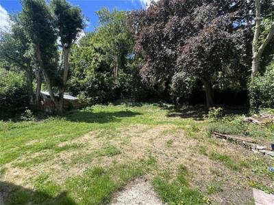 Picture 14